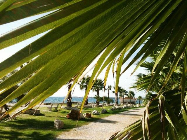 Deby Beach House วีร์ ภายนอก รูปภาพ